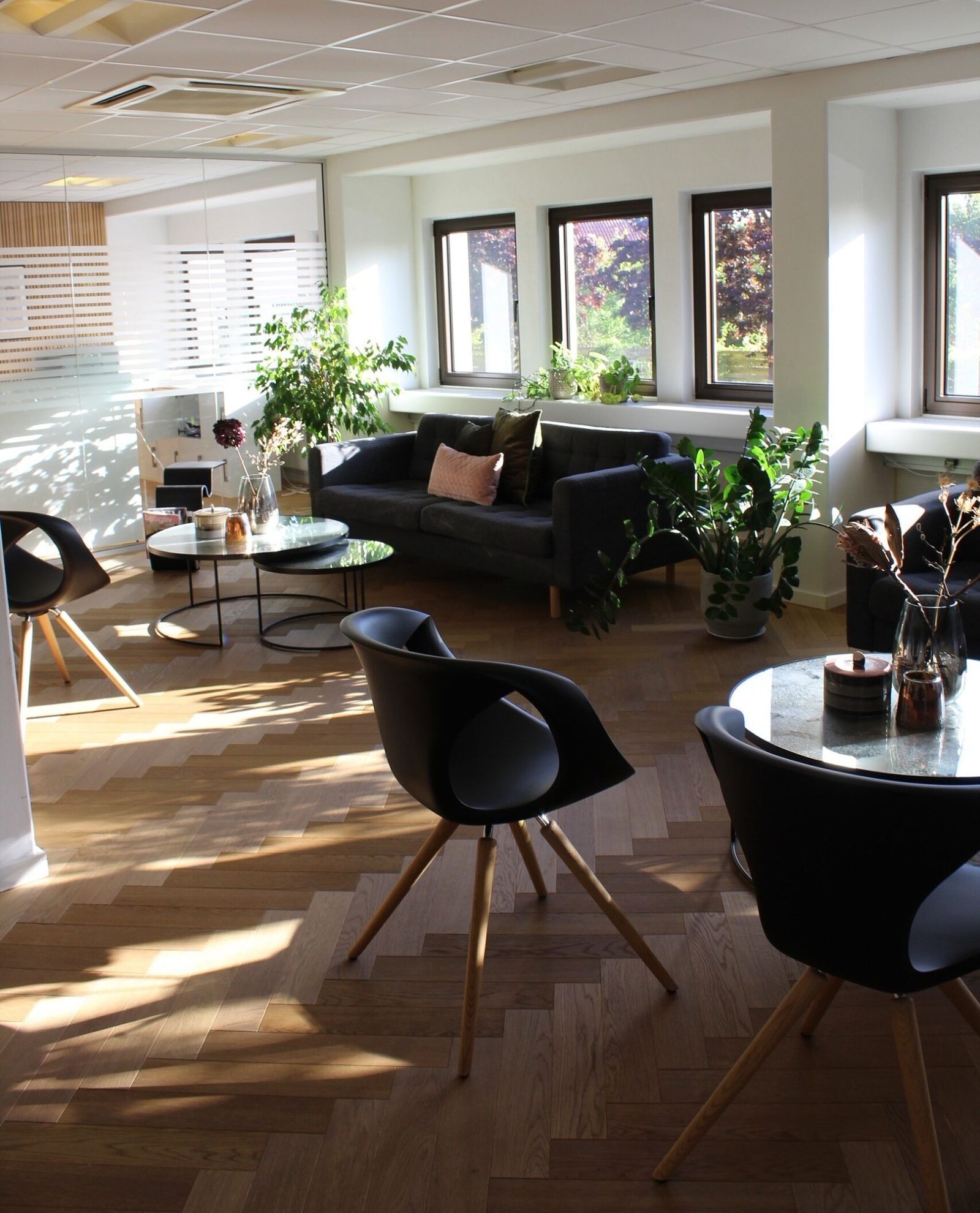 Klinikkens lyse venteværelse med sildebensparket, sofaer og planter